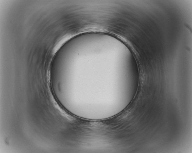 X0000103131383200808221032