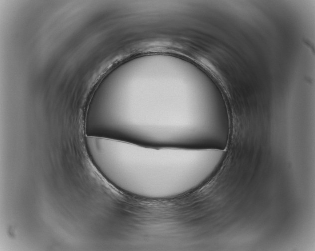 X0000103131384200808221032