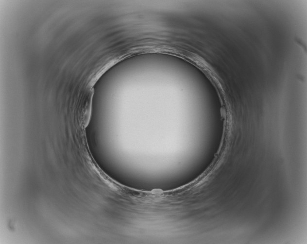 X0000103131385200808221032