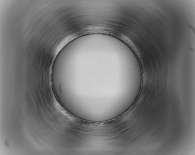 X0000103131386200808221031