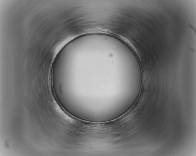 X0000103131387200808221031