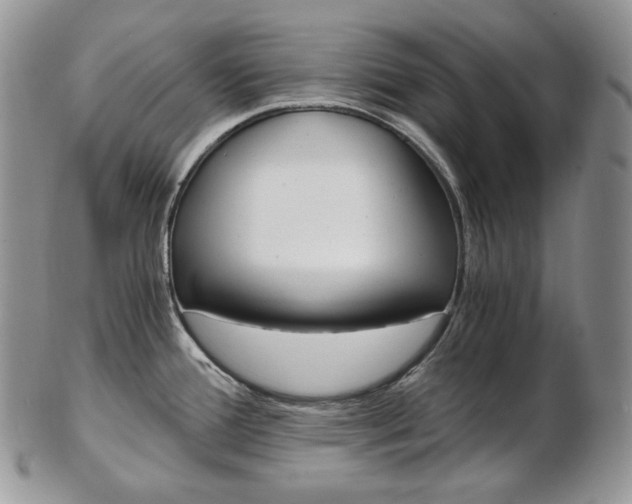 X0000103131388200808221031