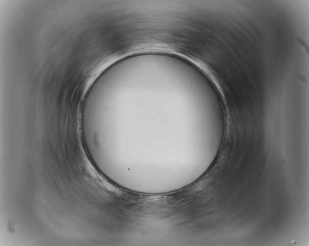 X0000103131390200808221031