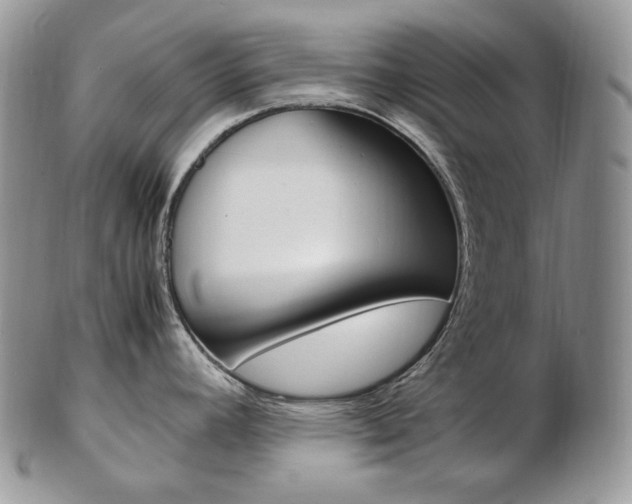 X0000103131392200808221031
