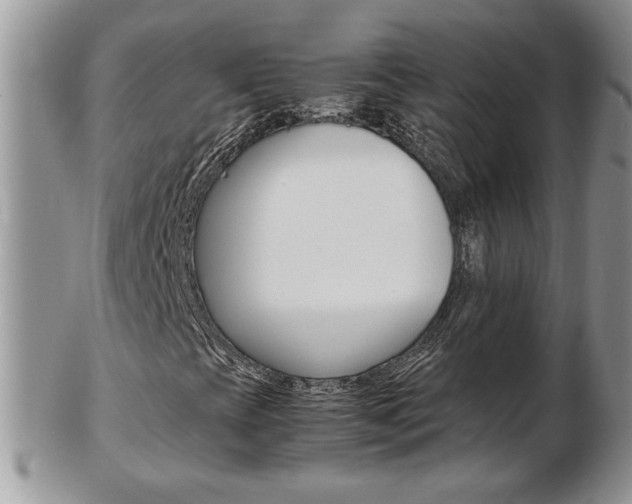 X0000103131393200808221031