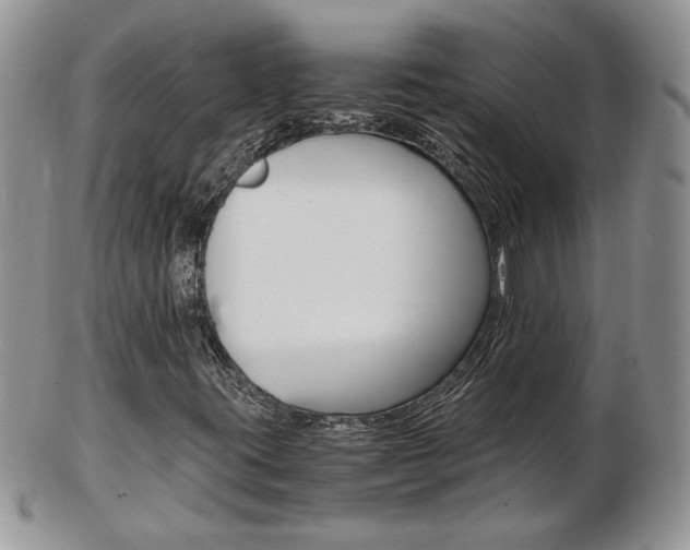 X0000103131395200808221031