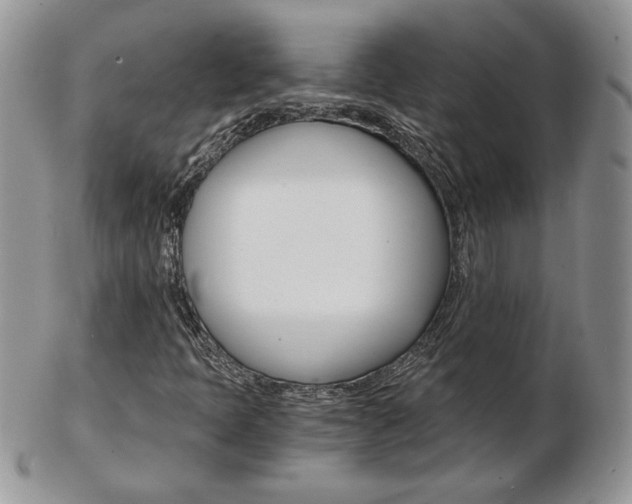 X0000103131397200808221031