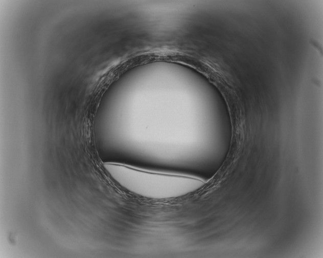 X0000103131398200808221031