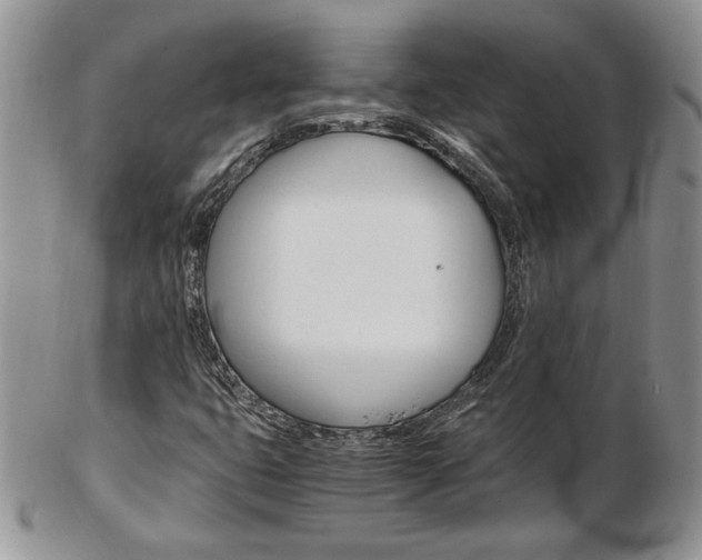 X0000103131399200808221031