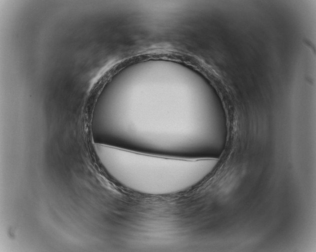 X0000103131400200808221031