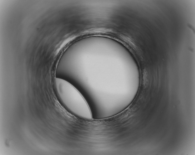 X0000103131404200808221031