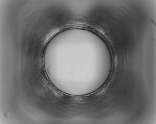 X0000103131405200808221031