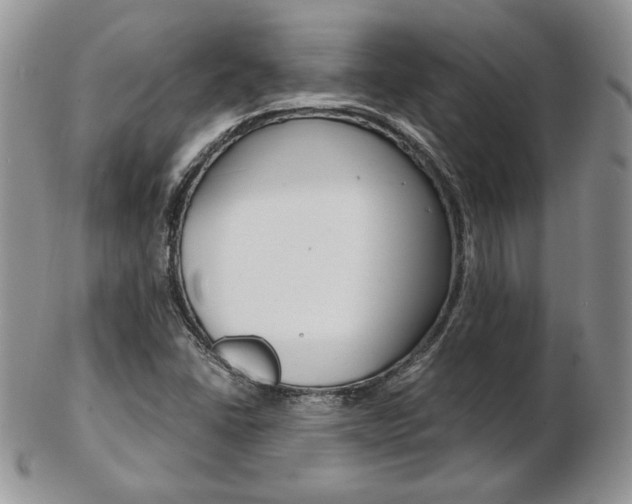 X0000103131406200808221031