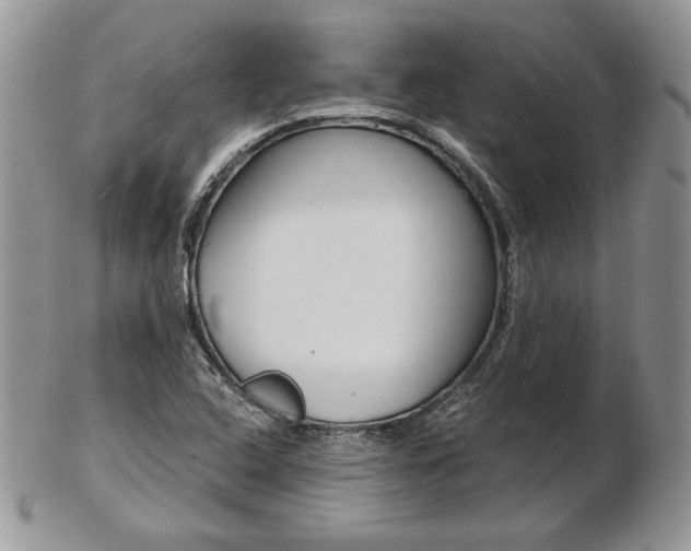 X0000103131408200808221031