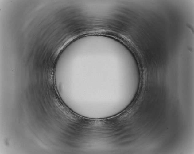 X0000103131409200808221031