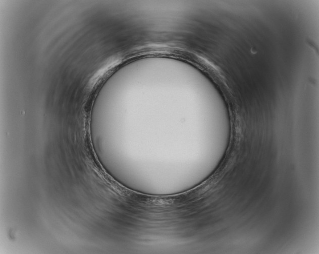 X0000103131411200808221031