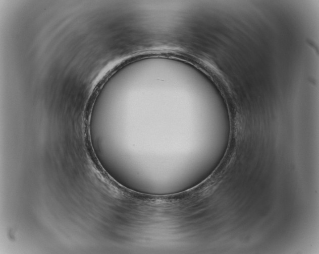 X0000103131412200808221031