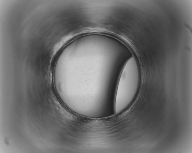 X0000103131414200808221031