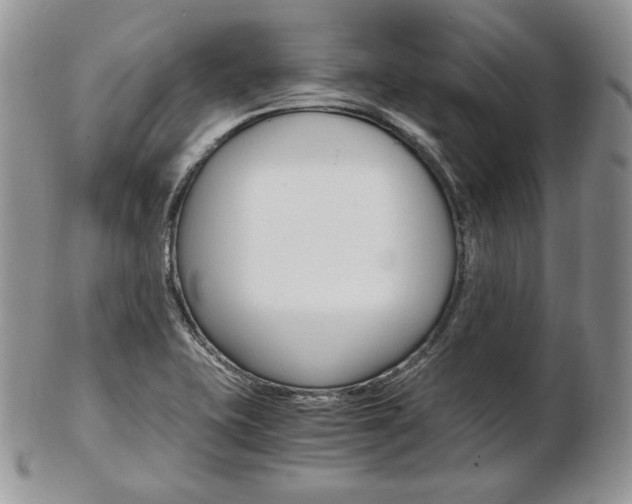 X0000103131415200808221031