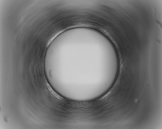 X0000103131417200808221031