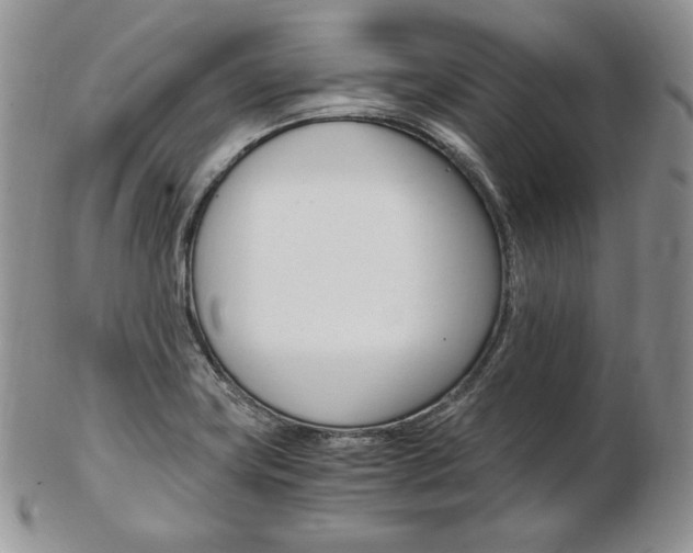 X0000103131419200808221031