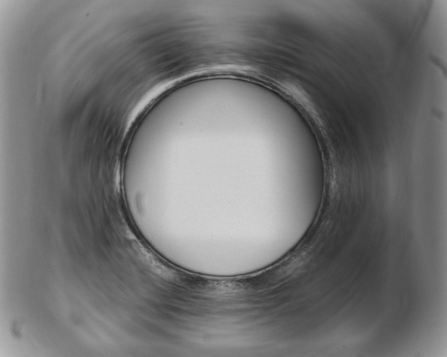 X0000103131420200808221031