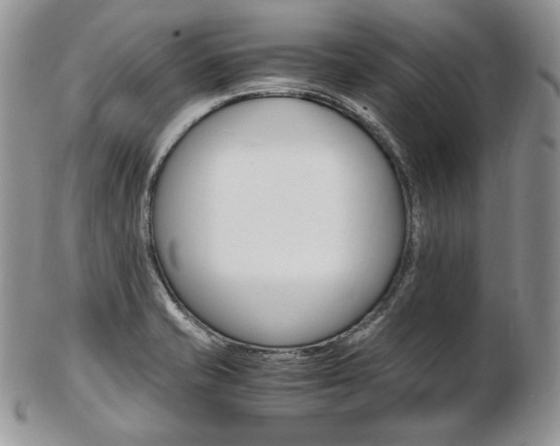X0000103131421200808221031