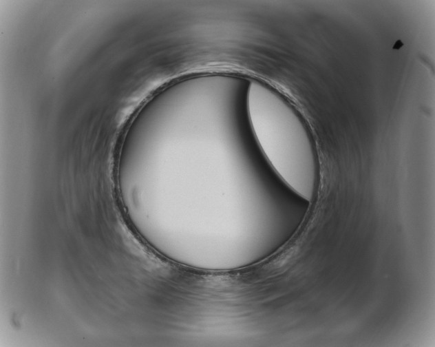 X0000103131422200808221031