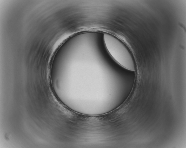 X0000103131424200808221031