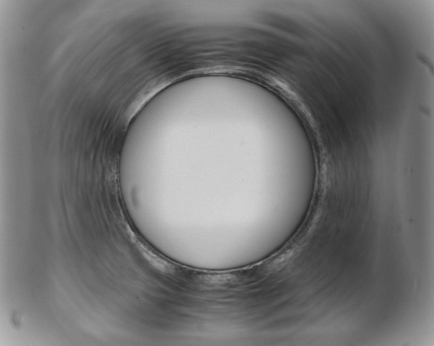 X0000103131425200808221031