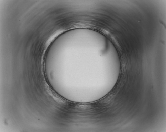 X0000103131427200808221031