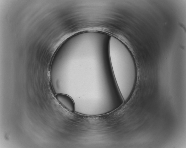 X0000103131428200808221031