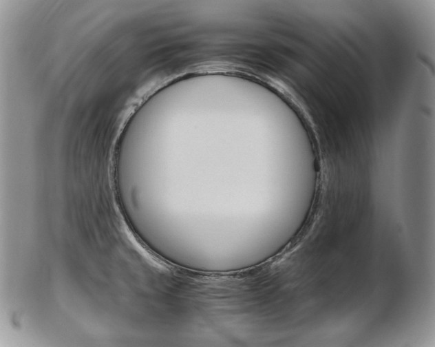 X0000103131429200808221031