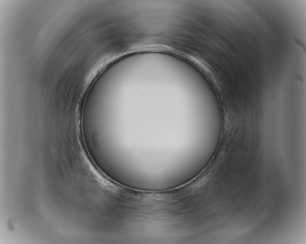 X0000103131430200808221031