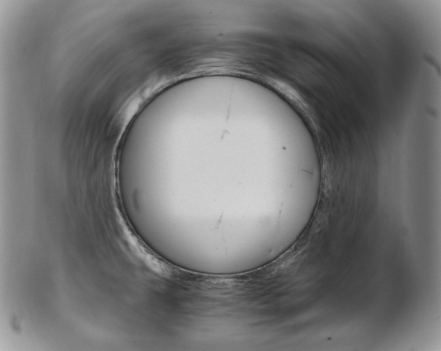 X0000103131431200808221031