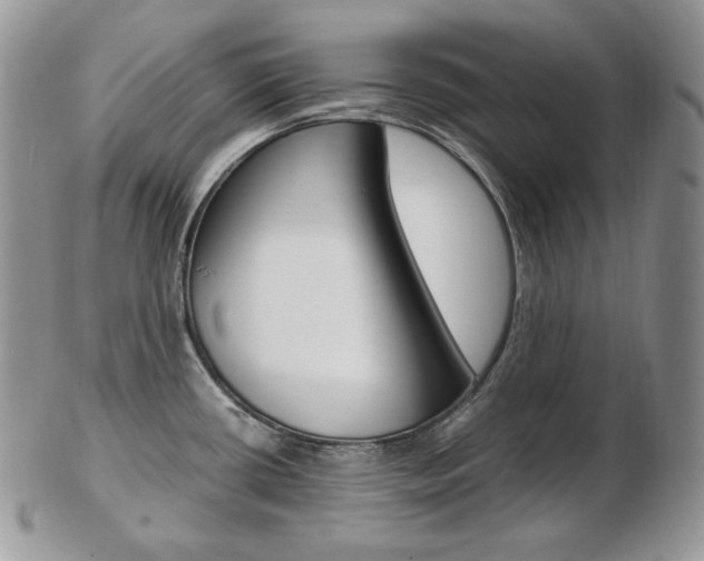 X0000103131434200808221031