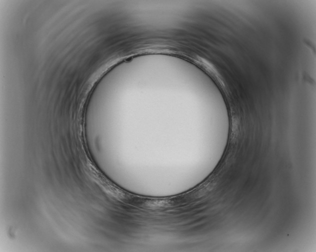 X0000103131435200808221031