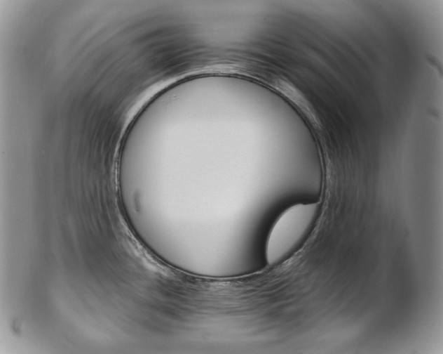 X0000103131436200808221031