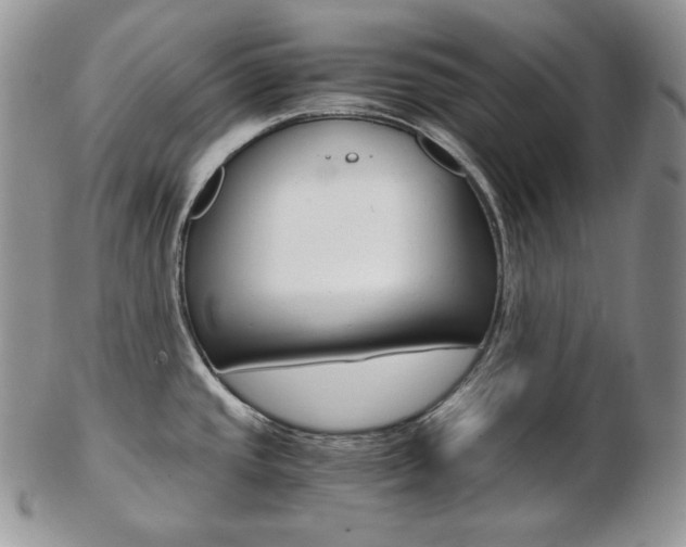 X0000103131437200808221031