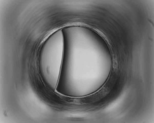 X0000103131438200808221031