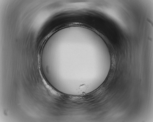 X0000103131439200808221031
