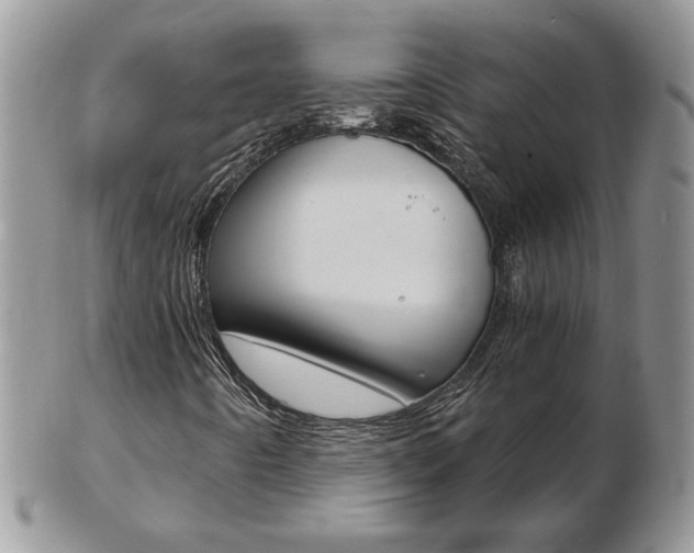 X0000103131442200808221031