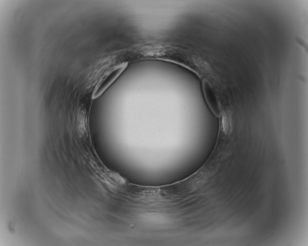 X0000103131444200808221031