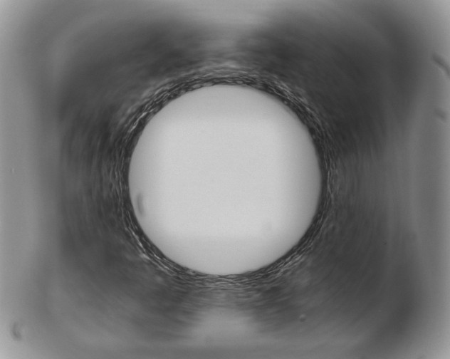 X0000103131445200808221031