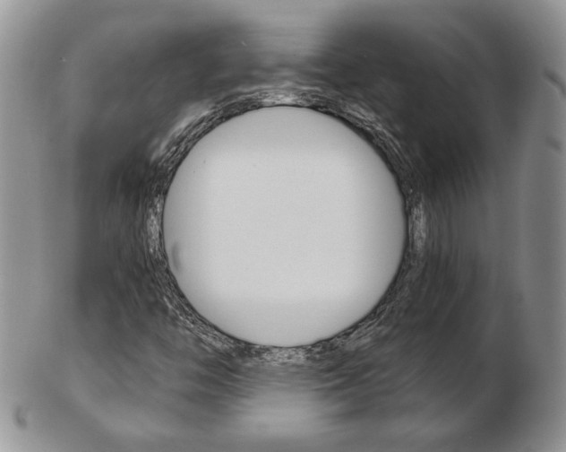 X0000103131446200808221031
