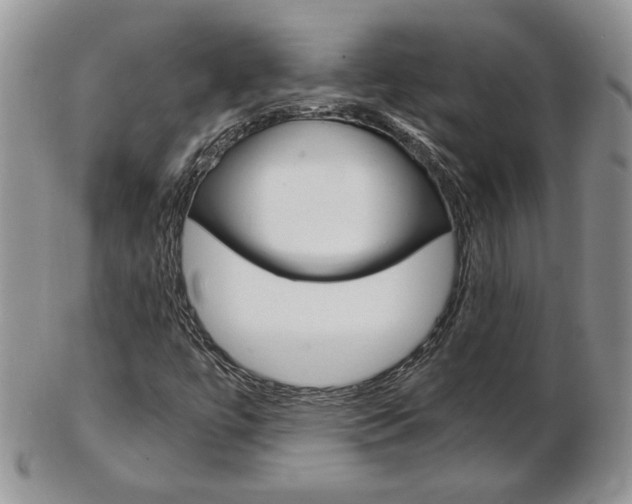 X0000103131447200808221031
