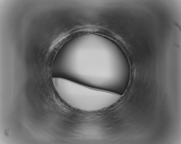 X0000103131448200808221031