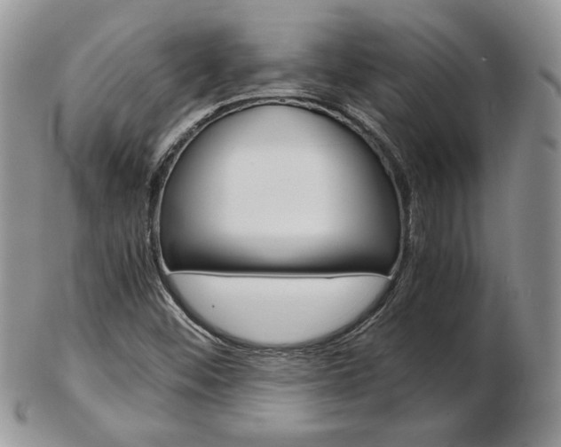 X0000103131452200808221031