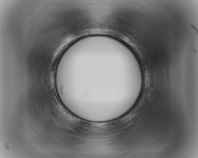 X0000103131454200808221031