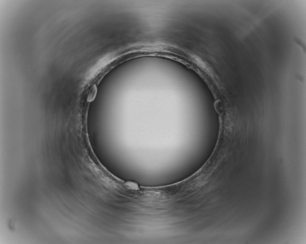 X0000103131456200808221031